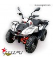 QUAD MATRICULABLE - ATV 200 T3B